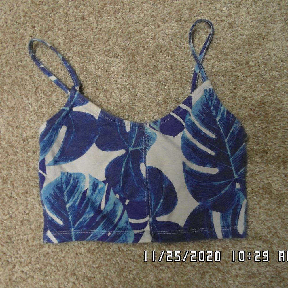 Blue and White Crop Top